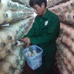 Phùng Văn Nghiêm: Đoàn viên trẻ dám nghĩ dám làm