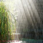 Lời dặn của mưa
