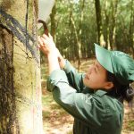 Nữ công nhân tiêu biểu, đi đầu trong các phong trào thi đua