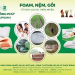 Nệm Đồng Phú khuyến mãi mua 1 tặng 1, duy nhất ngày 8/10