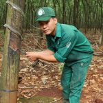 Người có duyên với danh hiệu Bàn tay vàng
