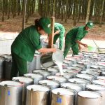 Khí phách sáng ngời của đội ngũ công nhân cao su