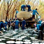 9 tháng đầu năm 2020, xuất khẩu cao su ước đạt 1,45 tỷ USD