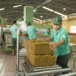 Dĩ bất biến ứng vạn biến quyết liệt thực hiện thắng lợi nhiệm vụ năm 2020