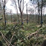 Tích cực hỗ trợ các công ty khắc phục thiệt hại sau bão số 9