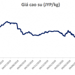 BSC: Giá cao su phục hồi chỉ diễn ra trong ngắn hạn