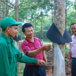 “Làm tốt việc của mình tức là đã học và làm theo Bác”