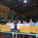 Cao su Đồng Nai đã chủ động đổi mới, tái cơ cấu