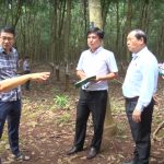 Cao su Phú Riềng chuẩn bị tốt nhất cho Hội thi