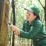 Bình tĩnh, tự tin, quyết tâm cao nhất