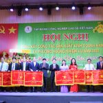 VRG hoàn thành xuất sắc các chỉ tiêu