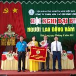 Cao su Bình Long thu nhập trên 9,7 triệu đồng/người/tháng