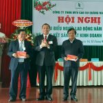 Cao su Quảng Nam nỗ lực vượt khó
