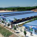 Phát triển nông nghiệp hữu cơ: Mạnh, nhưng đừng... yểu!
