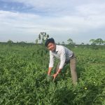 Đất nở