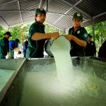 Nâng cao chất lượng phong trào thi đua yêu nước