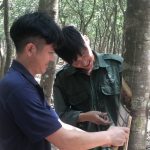 Khi lao động chủ động đến đầu quân