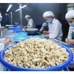 Nông nghiệp, thực phẩm Việt Nam đứng thứ 2 ASEAN về phục hồi kinh tế
