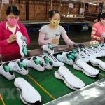 Nhiều doanh nghiệp chưa tận dụng các ưu đãi từ Hiệp định CPTPP