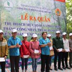 Đa dạng hoạt động trong tháng công nhân