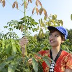 Chặng đường mới – niềm tin – khát vọng