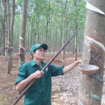 Người tổ trưởng Công đoàn tận tâm, nhiệt huyết với công việc