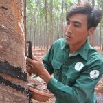 Bàn tay vàng Nguyễn Hữu Thành: “Có công mài sắt có ngày nên kim ”