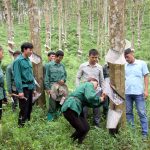 Tín hiệu vui từ vùng đất khó