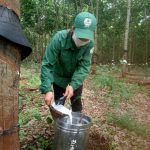 Chủ động phòng chống dịch Covid - 19 trên lô