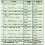 VRG tăng cường xây dựng phương án và thực hiện chứng chỉ về quản lý rừng cao su bền vững