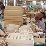 Nắm bắt cơ hội giữa bão Covid, doanh nghiệp gỗ đồng loạt báo lãi lớn