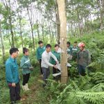 Sáng kiến “Nắp đậy chén nhựa hứng mủ” tiết kiệm 555 triệu đồng/năm