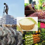 Gỡ khó, phục hồi xuất khẩu nông - thủy sản