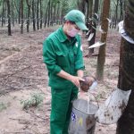 Xây dựng cơ chế thực hiện nhiệm vụ trong tình hình mới
