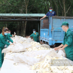 Bình Phước: Lập vòng tuyến bảo vệ bằng được những người khơi thông dòng vàng trắng