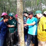 Tri ân người thầy không bục giảng của ngành cao su