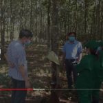 Cao su Mang Yang nỗ lực về đích