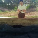 Sản xuất phân hữu cơ sinh học từ công nghệ nuôi trùn quế