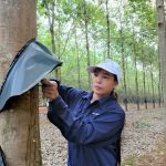 “Bông hồng” miền biên viễn