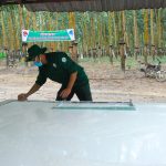 Cao su Chư Păh phấn đấu khai thác vượt 7% kế hoạch sản lượng