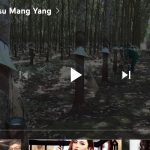 Sức trẻ ở Cao su Mang Yang