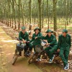 Tết ấm của công nhân cao su