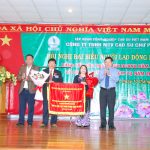 Cao su Chư Păh thu nhập bình quân năm 2021 đạt trên 122% kế hoạch