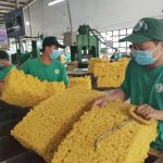 VRG sẽ hoàn tất tiêm vaccine Covid-19 mũi 3 trong quý 1