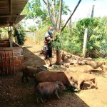 Đoàn Thanh niên Cao su Mang Yang: Đồng hành cùng thanh niên lập thân lập nghiệp