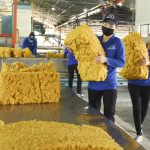 Thế giới có thể thiếu hụt nguồn cung cao su trong năm 2023