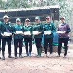 Người phụ nữ của công việc