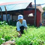Hiệu quả từ cuộc thi vườn rau sạch