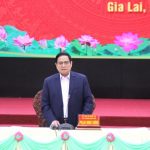 Xin chuyển đổi hơn 12 nghìn ha rừng cao su kém chất lượng