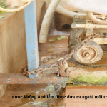 Sáng kiến Tách nước thải tại các nhà tổ bảo vệ môi trường